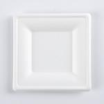 Eco Friendly Biodegradable Disposable Plate Sugarcane Bagasse Box Clamshell