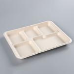 Fiber 5 Section Compartment Biodegradable Disposable Tray Hot Selling