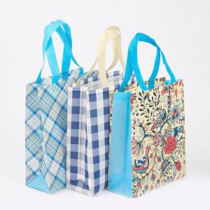 China Durable Laminated Nonwoven Bag wholesale
