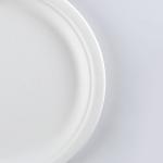 Wholesale disposable plate green bagasse pulp food plates