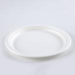 Wholesale disposable plate green bagasse pulp food plates