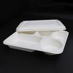 Eco Friendly Disposable Food Trays , Restaurant Sugarcane 5 Compartment Tray