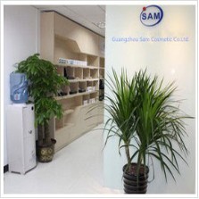 Guangzhou D-Tattoo Cosmetic Company