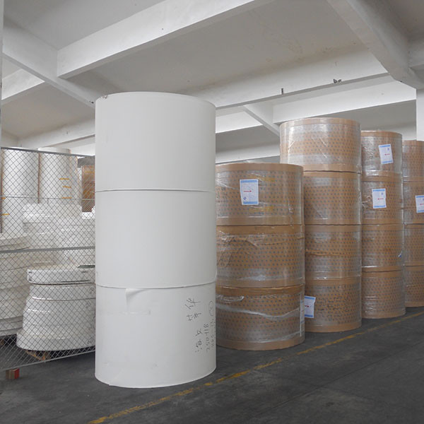 150GSM-350GSM Die Cut PLA Coated Paper Roll Water Resistant