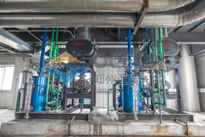 China OEM Automatic Edible Oil Extraction Equipment PLC Stainless Steel wholesale