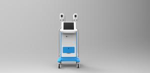 China Newest Cryolipolysis Lipo Laser Machine In 2016 wholesale