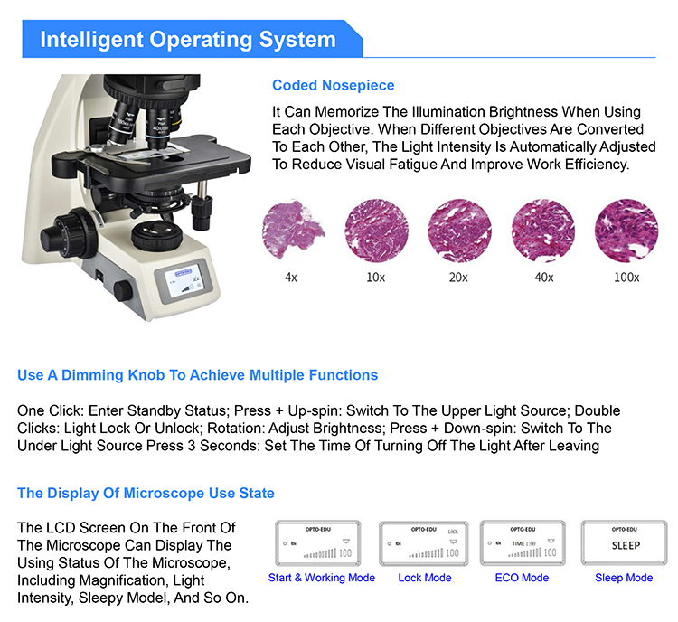 OPTO EDU A16.1062 Infinity Binocular Trinocular Led Fluorescent Microscope BG