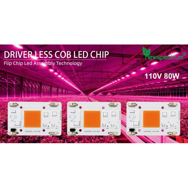 AC110V AC COB LED 80W Full Spectrum Without Soldering Terminal