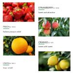 OEM Sterilizing Car Automotive Air Freshener Spray Long Lasting Floral Fragrance