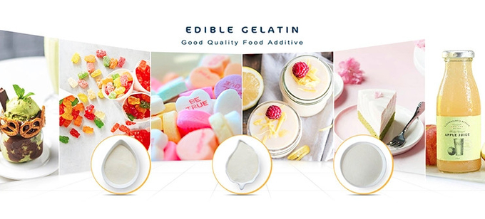 Chewing Gum Edible Gelatine Off White Cow Gelatin Halal 120-150 Bloom