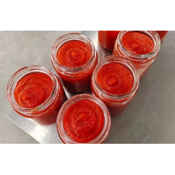 Automatic 4 Heads Sauce Bottling Machine Ketchup Filling Machine With Feeding Pump