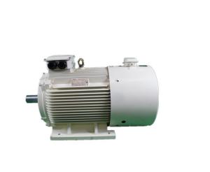 China IP55 Industrial 3 Phase Variable Frequency Motor YVFE3 100L-2 3kW wholesale