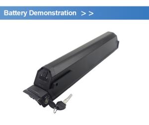 China 36V 48V E Bike Battery Dorado Akku 15ah 20ah Downtube Ebike Dorado Battery Electric Bike wholesale