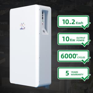 China 51.2V ESS Deep Cycle Solar Battery 10Kwh 200AH wholesale