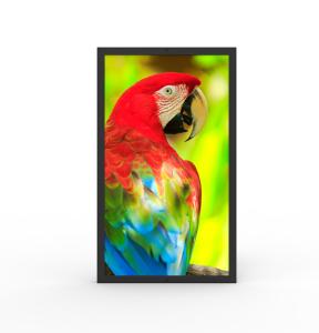 China Water Resistant HDMI Commercial Digital Screens 49 Inch Ultrawide Monitor wholesale