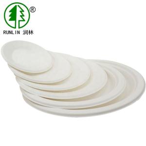 China Restaurant Biodegradable Sugarcane Bagasse Plates SGS Food Packaging Flat Round Dish wholesale