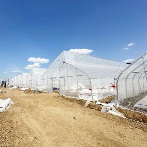 China Tropical Climate Sawtooth Poly Tunnel Plastic Film Agricultural Greenhouse wholesale
