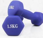 Home Fitness Strength Training Womens Vinyl Dipped Coated Dumbbell