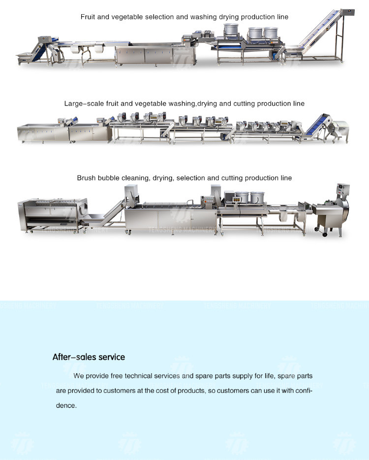 1000KG/H Supply of eddy current washing machine commercial fruit and vegetable washing machine drain spray vortex out