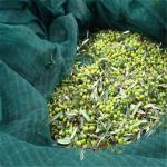 Olive Picking Nets from China