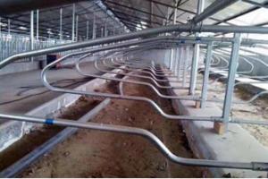 China Customized Q235 Steel Agriculture Farm Cow Free Stall wholesale