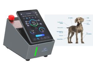 China 980nm Veterinary Laser Therapy Machine Class IV Laser Rehabilitation Therapy wholesale