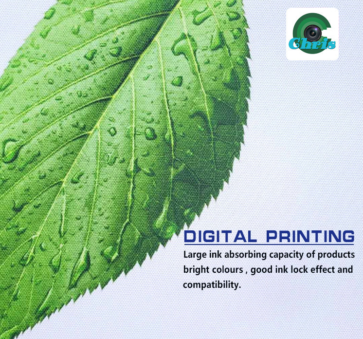 Printable White A4 350gsm Inkjet Canvas Paper