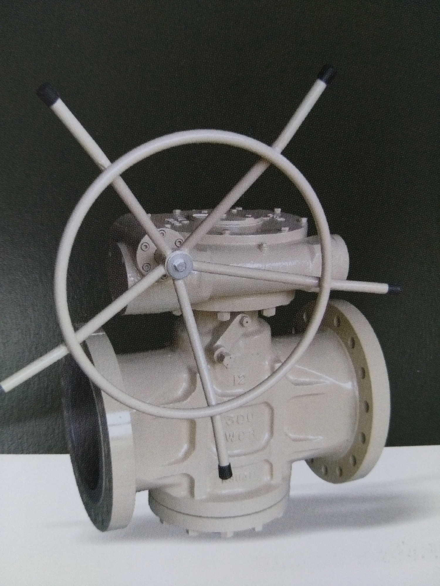 Stainless Steel Material Plug Valve End Connection ASME B16.5 ASME B 16.25