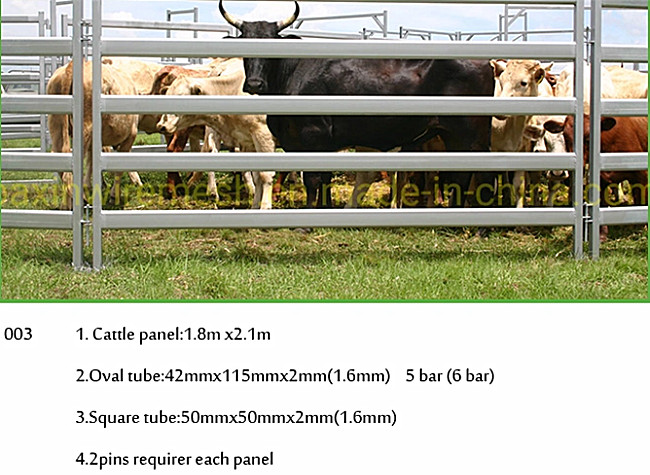 Cattle Metal Corral Fence