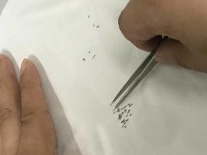 China Medical device micro machining for OEM contract manufacturing wholesale