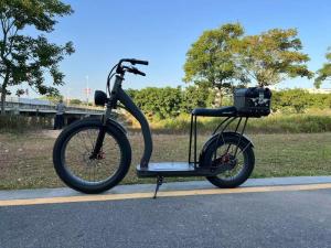 China Richbit H300 Fat Electric Scooter Cycle High Speed 50km/H 1000w 48v 16ah 26x4.0 Inch wholesale