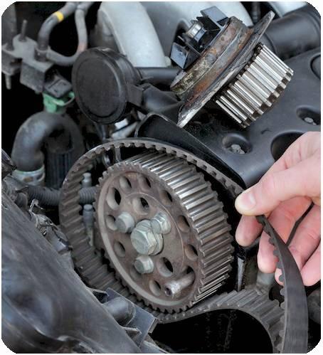 Customized PU Steel Cord Timing Belt for All Type to Meet Your Needs