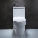 Ceramic Bathroom Toilet Bowl , 700x385x745mm One Piece Toilet Sink Combo