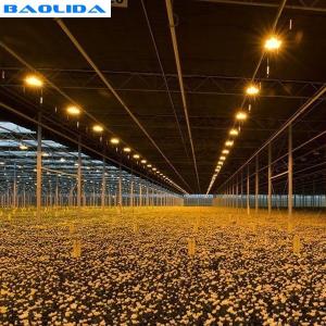 China Plastic Automated Blackout Light Deprivation Greenhouse Single Span Agricultural wholesale