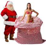 Large Reusable 50 Microns Custom Plastic Gift Bags For Holiday