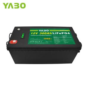 China 300ah 12v Lifepo4 Battery Bms Rechargeable Deep Cycle wholesale