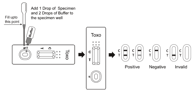 ToRCH Toxo Rubella CMV HSV 1 2 IgM Rapid Diagnostic Test Kit High Sensitivity