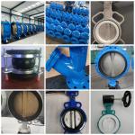 Large size bs en Double Flanged Butterfly Valve