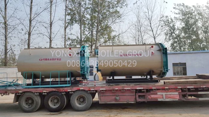 Gas And Oil Dual Fuel Steam Boiler 0.7MW Hot Water Boiler Furnace Stainless Steel