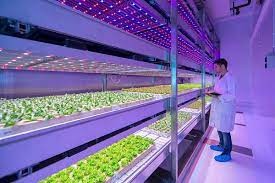 960W Aluminum Full Spectrum Led Grow Lights For Indoor Growing