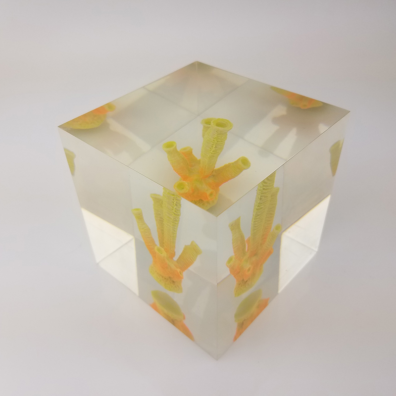 Transparent resin cube brick paperweight with Coral inside