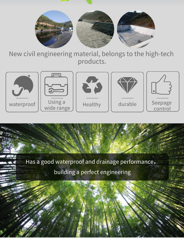 Industrial Design Style 2019 HDPE Geomembrane Liner for Indoor Shrimp Farming in Kenya