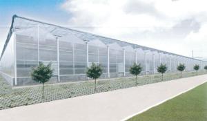 China Saved Energy Venlo Greenhouse Structure , PC Sheet Greenhouse No Welded Point wholesale