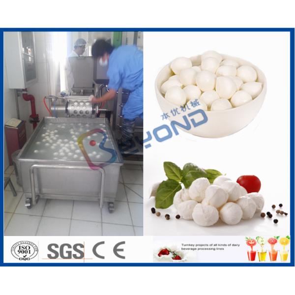 EC 10TPD Soft Cheese Making Equipment For Cheese Making Factory / Cheese Making Plant