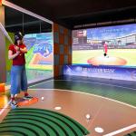 Pavilion Batting Pavilion Batting Cage Pitching Machine Baseball Simulation