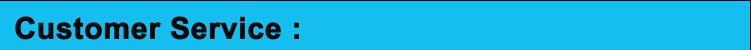 2017 New styles Golden 445nm blue laser pointer 3000mw burn match cigars cutting paper With DHL free Shipping