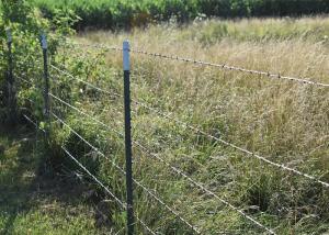 China Rust Resistance PVC Coated /Galvanized Barbed Wire Coils Fence wholesale