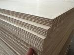 Sturdy Practical Hard Wood Plywood , Multipurpose Timber Veneer Sheets