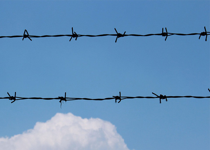 Farm Protection Double Strand Traditional Twist Barbed Wire Fence