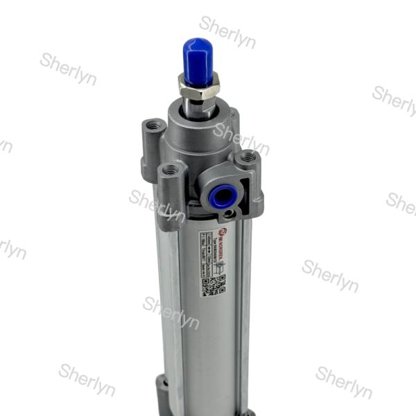 G1/4 Port Size Double Acting Cylinder RA/802040/M/50